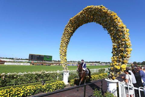 Golden Eagle Day - Accommodation Cooktown 2
