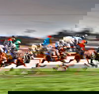 Grafton July Racing Carnival - Accommodation Cooktown
