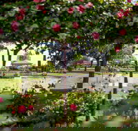 Griffith Spring Fest - Accommodation Cooktown