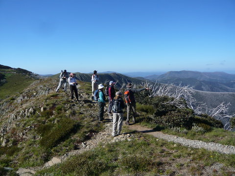 Hedonistic Hiking's Falls Creek To Hotham - Accommodation Cooktown 1