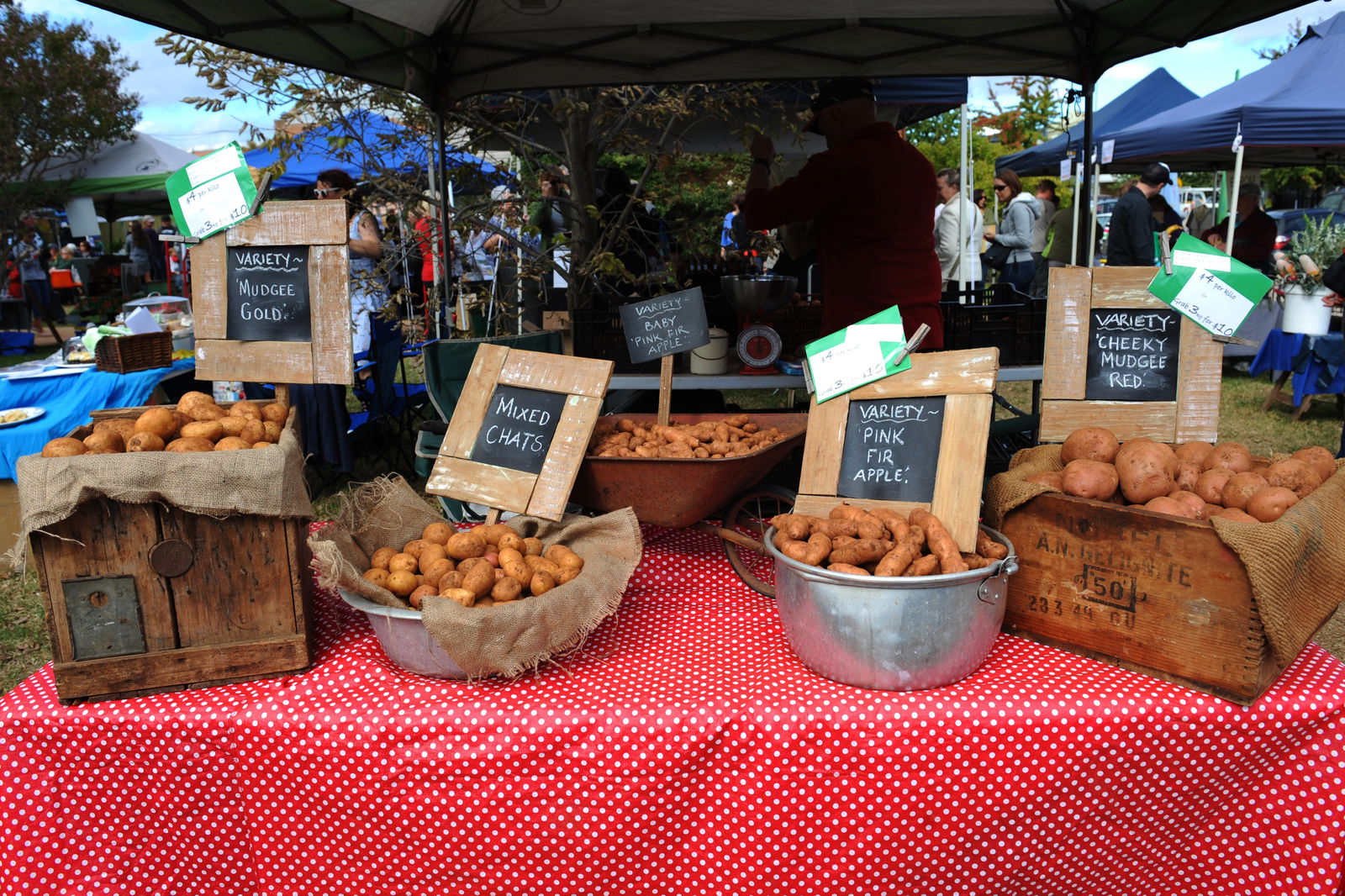 Mudgee NSW Accommodation Cooktown