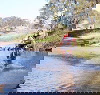 Mountain Man Tri Challenge - Accommodation Cooktown