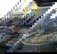 Narrabri Show - Accommodation Cooktown