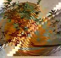 Online live streaming class DIY Skincare Products - Accommodation Cooktown