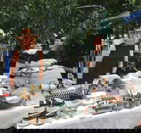 Popped up at Kimo - Accommodation Cooktown