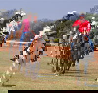 Pride of the West Races 2020 - Accommodation Cooktown