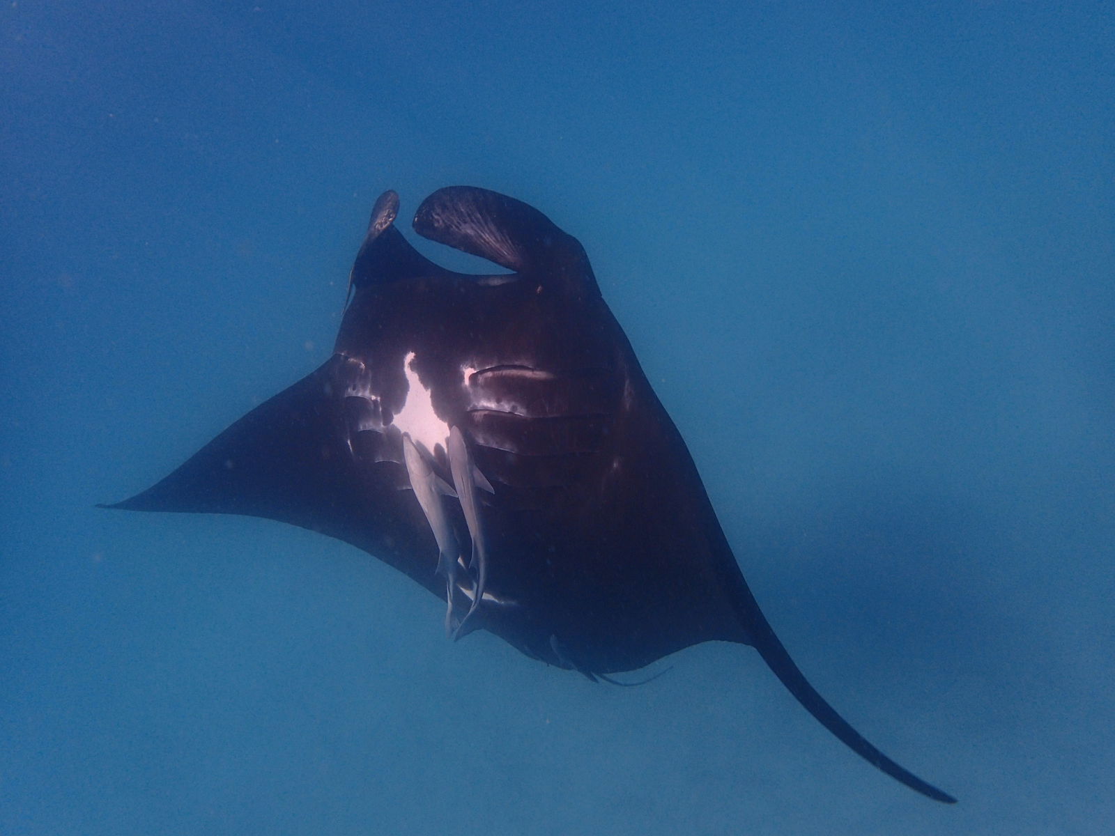 Brockman WA Accommodation Cooktown