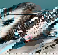 Reuben Kaye Comes Out to Play - Accommodation Cooktown