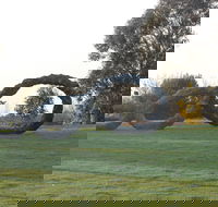 SculptureShaw - Accommodation Cooktown