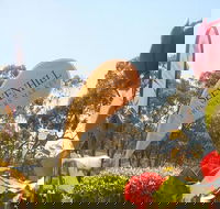 Sevenhill Producers Market - Accommodation Cooktown