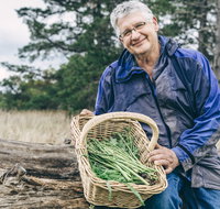 Sirocco South Forage and Feast - Accommodation Cooktown