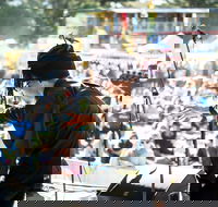 The Entrance Winter Blues and Jazz Festival - Accommodation Cooktown