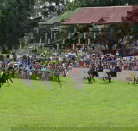 Tumut Derby Day - Accommodation Cooktown
