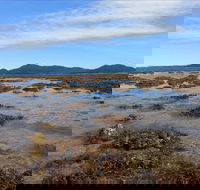 Walk to the Reef - Accommodation Cooktown