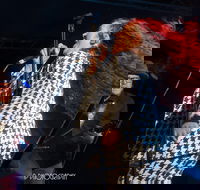 Wingham Akoostik Festival - Accommodation Cooktown