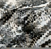 Yamba Farmers and Producers Market - Accommodation Cooktown