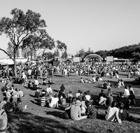 Yours and Owls Festival - Accommodation Cooktown