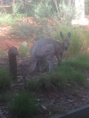 Queensland Winter Craft Festival - Accommodation Cooktown 4