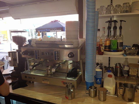 Keeping Healthy Backyard Chickens - Accommodation Cooktown 2