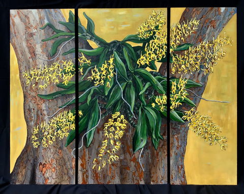 A Still Life - Solo Exhibition  Karen Sedaitis - Accommodation Cooktown 1