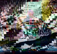 Buskers by the Lake - Accommodation Cooktown