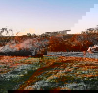 Cargo Road Wines Grande Fiamma