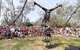 Coffs Harbour International Buskers And Comedy Festival - thumb 0