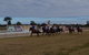 Corowa Horseraces - thumb 0