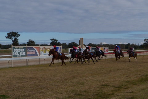 Corowa Horseraces - Accommodation Cooktown 0