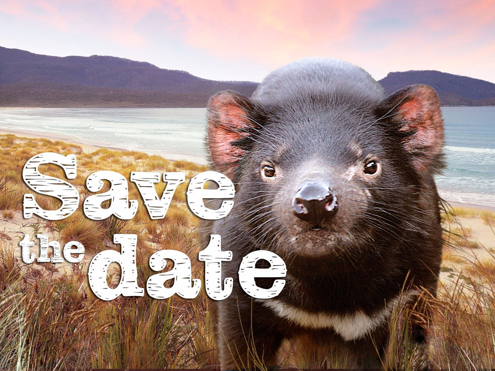 Eggs And Bacon Bay TAS Accommodation Cooktown