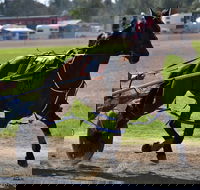 Forbes Show - Accommodation Cooktown