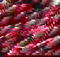 Griffith Rotary Market - Accommodation Cooktown