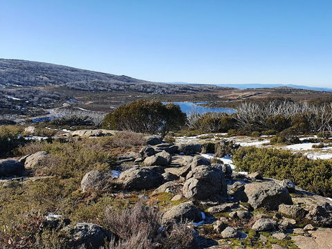 Hedonistic Hiking's Razorback To Harrietville - Accommodation Cooktown 1