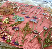 Introduction to Paper Making - Accommodation Cooktown