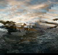 IRONMAN 70.3 Western Australia - Accommodation Cooktown