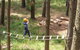 July 2020 Holidays- Go Wild At The Mt Lofty Adventure Hub - thumb 0