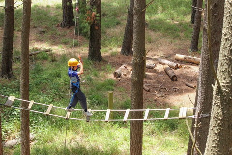 July 2020 Holidays- Go Wild At The Mt Lofty Adventure Hub - Accommodation Cooktown 0