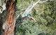 July 2020 Holidays- Go Wild At The Mt Lofty Adventure Hub - thumb 1