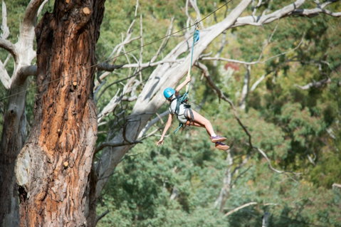 July 2020 Holidays- Go Wild At The Mt Lofty Adventure Hub - Accommodation Cooktown 1