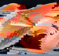 Kendall National Violin Competition Finals Weekend - Accommodation Cooktown