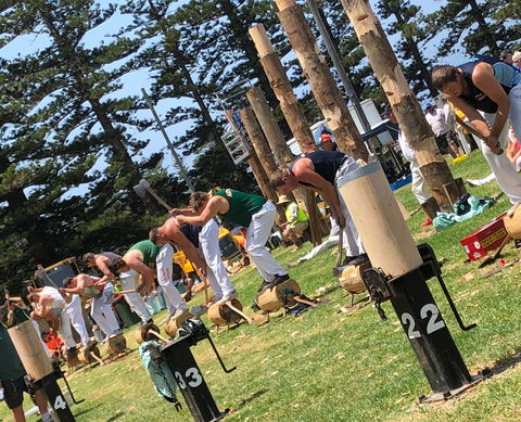 Kiama Show - Accommodation Cooktown 1