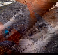 Learn all about Australia's Hidden Treasures - The Kimberley - Accommodation Cooktown