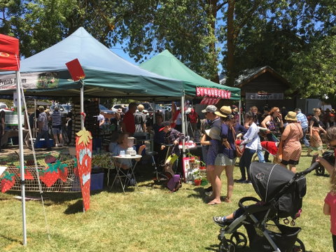 Macclesfield Strawberry Fete - Accommodation Cooktown 1