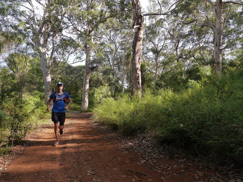Margaret River Ultra Marathon - Accommodation Cooktown 0