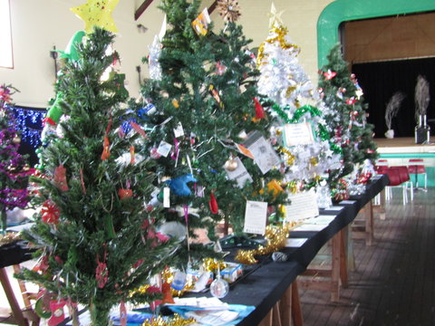 Mount Morgan Christmas Tree Festival - Accommodation Cooktown 0