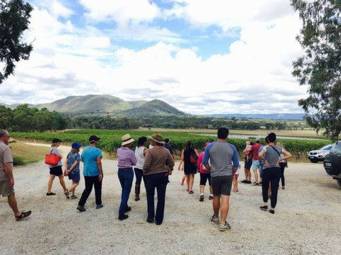 Mudgee Farm Walks - Accommodation Cooktown 1