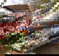 Murphys Creek Markets - Accommodation Cooktown