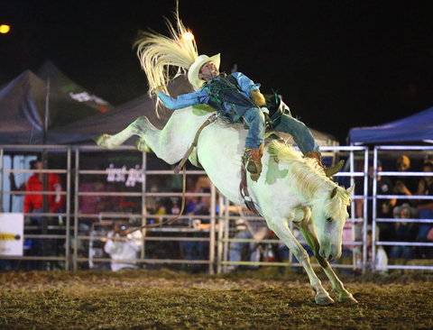 Patches Asphalt Queanbeyan Rodeo - Accommodation Cooktown 2