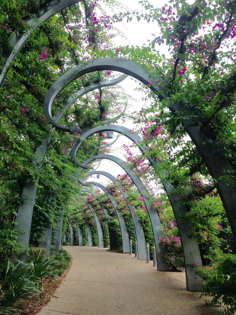 Photography Class / Tour Of Brisbane - Accommodation Cooktown 0