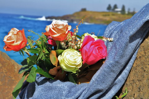 Roses By The Seaside: National Rose Championships And Conference - Accommodation Cooktown 0
